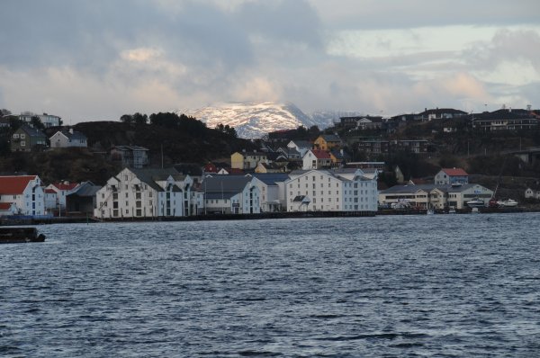 DSC_4186.JPG DSC_4186.JPG