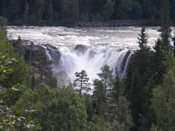 DSCN7788.jpg DSCN7788.jpg