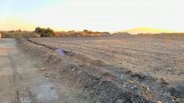 2014-11-17 17.37.19.jpg 2014-11-17 17.37.19.jpg