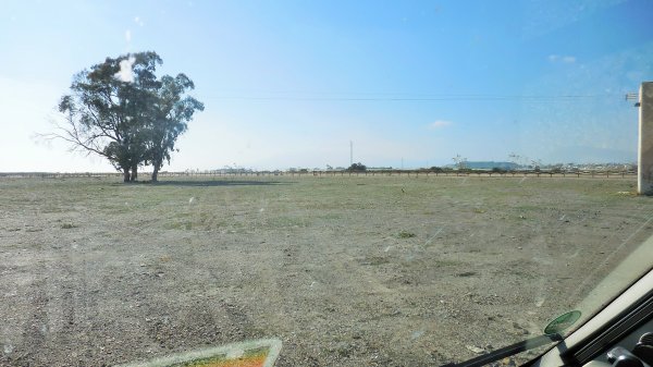 2014-11-19 12.11.28.jpg 2014-11-19 12.11.28.jpg