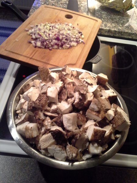 Fjällskivling 141121.jpg