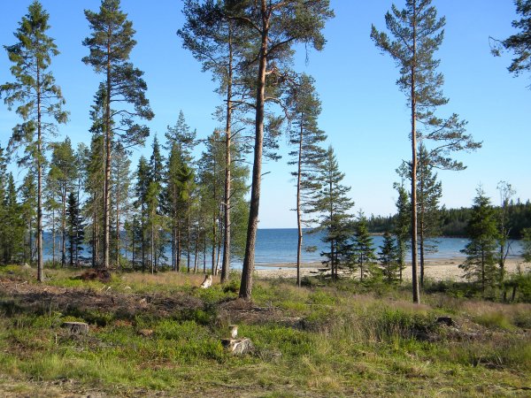 DSCN7406.jpg DSCN7406.jpg