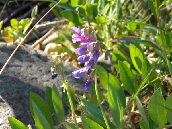 DSCN7412.jpg DSCN7412.jpg