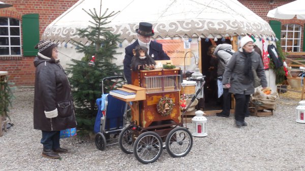 2014-11-29 13.08.37.jpg 2014-11-29 13.08.37.jpg