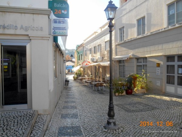 DSCN4650.jpg DSCN4650.jpg