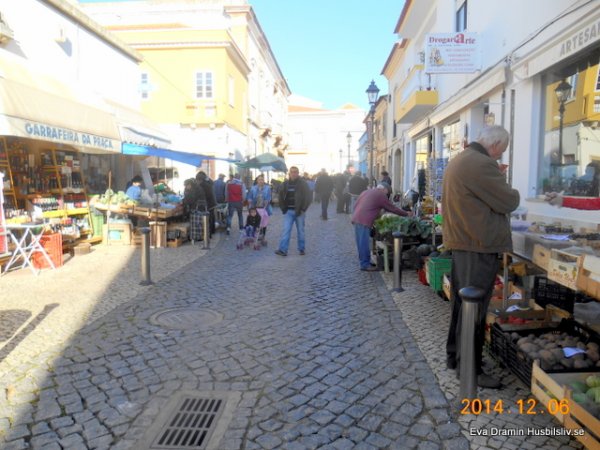 DSCN4655.jpg DSCN4655.jpg