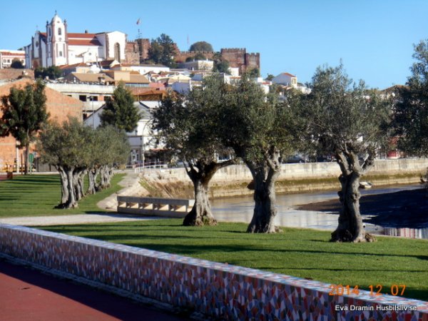 DSCN4660.JPG DSCN4660.JPG