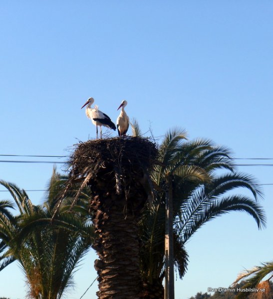 DSCN4661.JPG DSCN4661.JPG