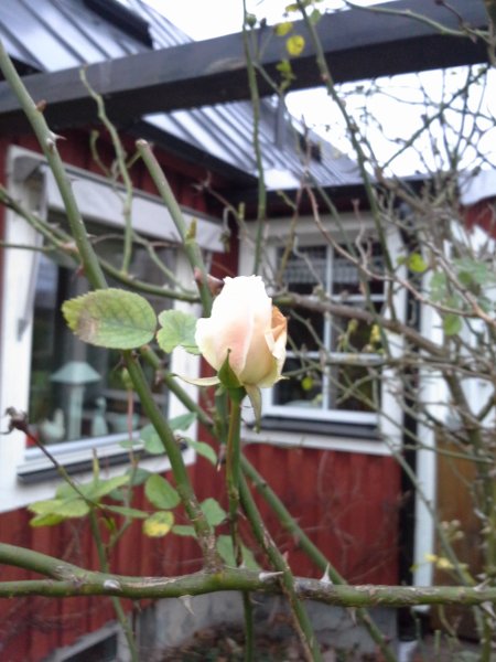 2014-12-07 14.45.45.jpg