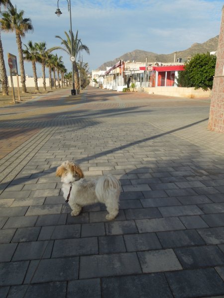 DSCN3049.JPG DSCN3049.JPG