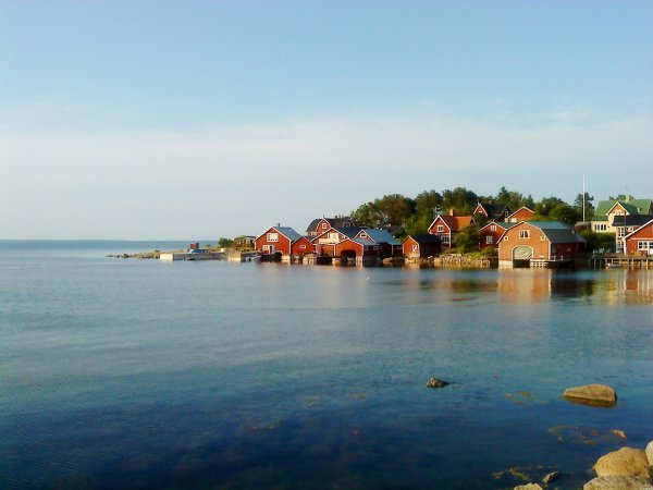 DSC00600.JPG DSC00600.JPG