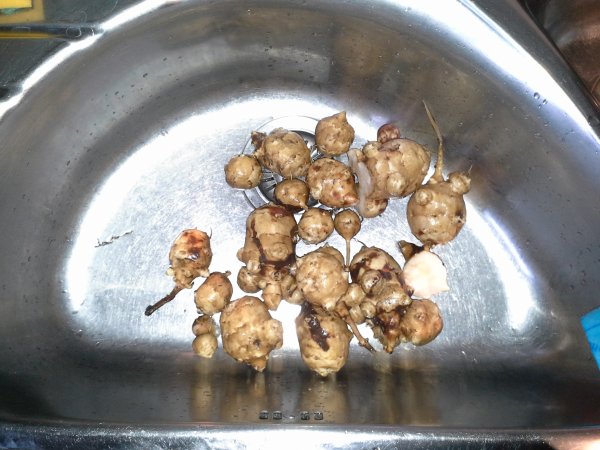 2014-12-19 12.16.46.jpg