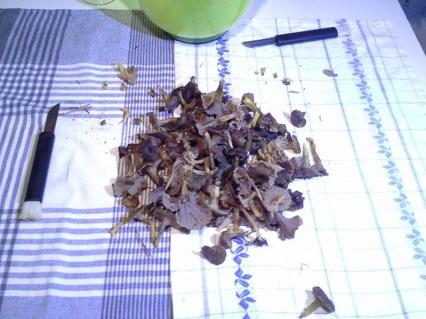 2014-12-20 16.21.17.jpg