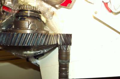 DSCF0317-400.jpg DSCF0317-400.jpg