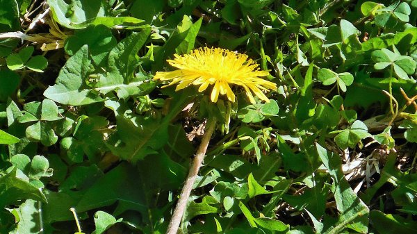 2014-12-28 15.47.57.jpg