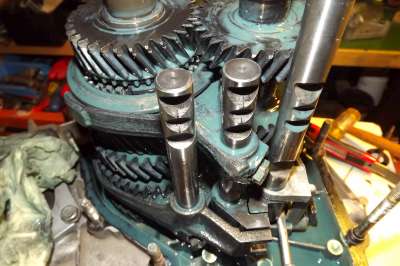 DSCF0232-400.jpg DSCF0232-400.jpg