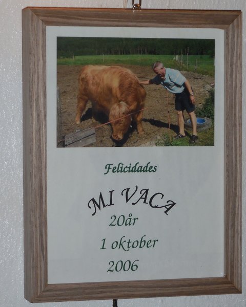 2015-01-10 20.07.15.jpg 2015-01-10 20.07.15.jpg