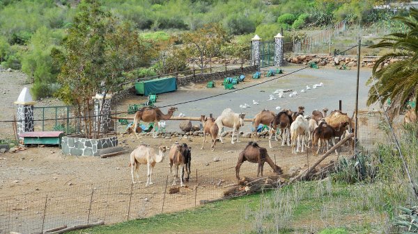 2015-01-11 14.41.40.jpg 2015-01-11 14.41.40.jpg