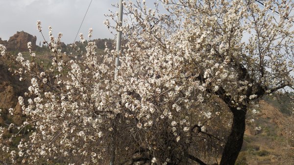 2015-01-11 16.16.18.jpg 2015-01-11 16.16.18.jpg