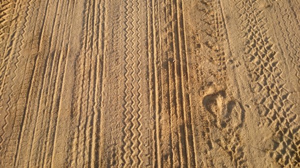 2015-01-11 09.49.52.jpg