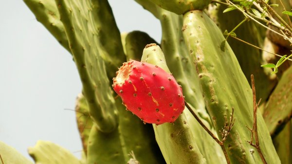 2015-01-12 11.32.13.jpg 2015-01-12 11.32.13.jpg