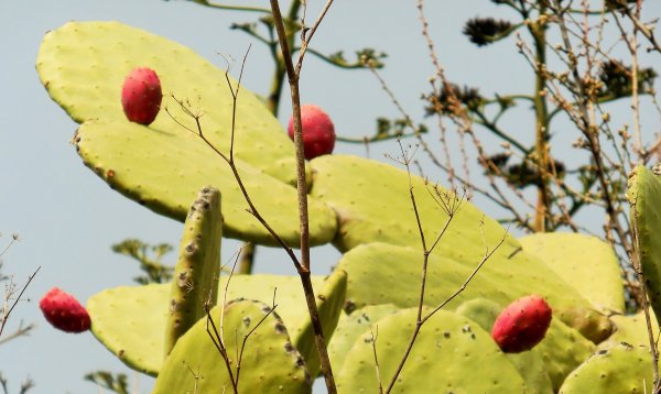 2015-01-12 11.32.54.jpg 2015-01-12 11.32.54.jpg