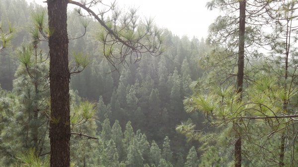 2015-01-12 11.53.25.jpg 2015-01-12 11.53.25.jpg