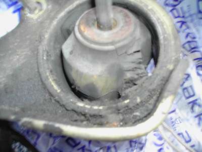 PICT0005-400.jpg PICT0005-400.jpg