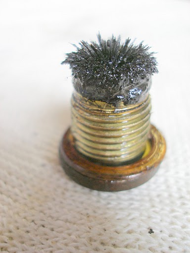 P8010141.JPG P8010141.JPG