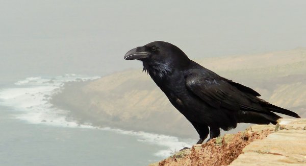 2015-01-13 14.50.26.jpg 2015-01-13 14.50.26.jpg