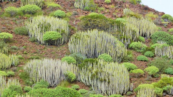 2015-01-13 14.59.07.jpg 2015-01-13 14.59.07.jpg