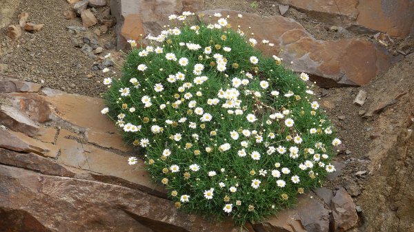 2015-01-13 15.32.39.jpg 2015-01-13 15.32.39.jpg