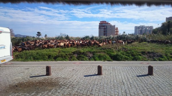 2015-01-16 3 Getter.jpg