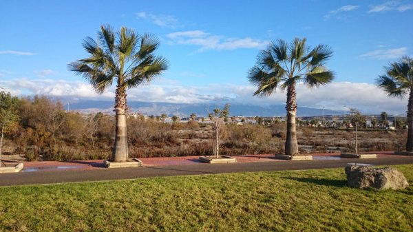 20150120 1 Strandpromenaden 09.48.jpg