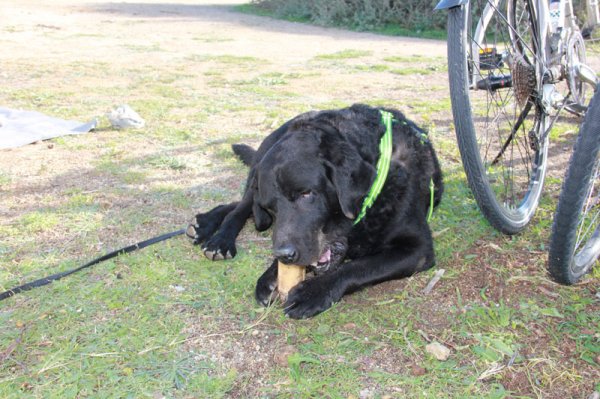 20150121 1 Ozzie med ben.jpg