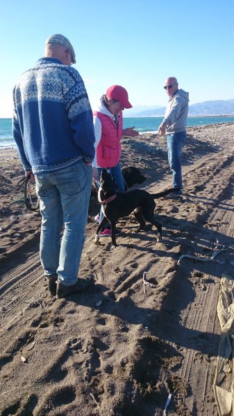 20150121 2 Hundpromenad 16.07.jpg