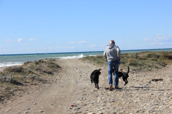 20150122 2 Ozzie med husse o Dizel.jpg