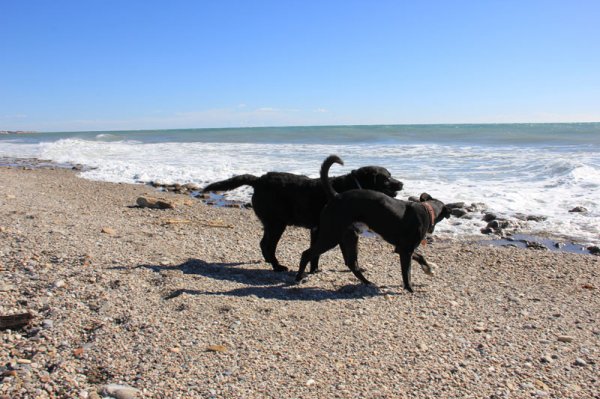 20150122 3 Bus på stranden.jpg