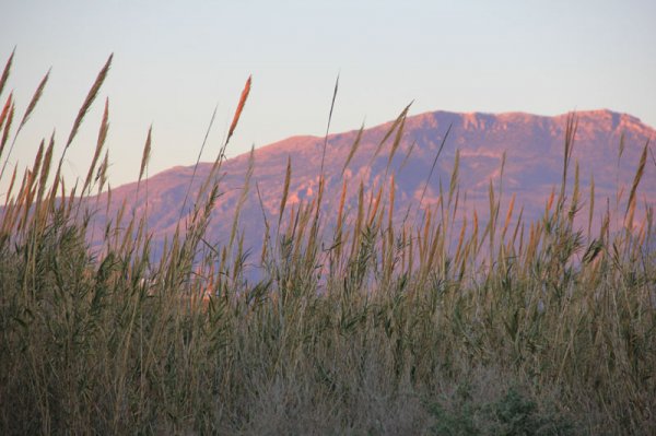 20150123 1 Utsikt från fönstret.jpg