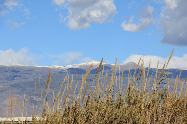 20150122 7 Strandvass o Sierra Nevada.jpg