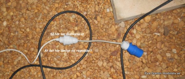 DSCN4795.JPG DSCN4795.JPG