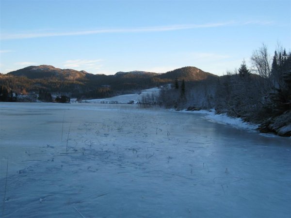 IMG_0393 (Large).JPG