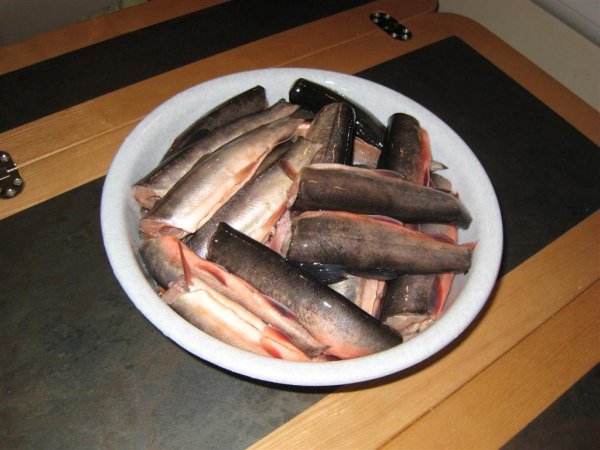 Bild 001 (Large).jpg