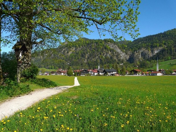 IMG_4853.jpg IMG_4853.jpg