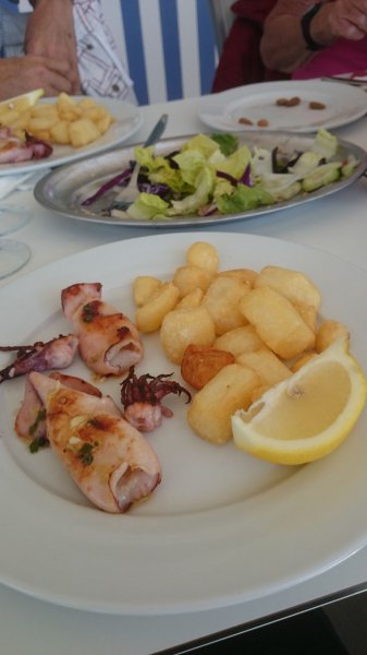 20150131 2 Bläckfisk.jpg