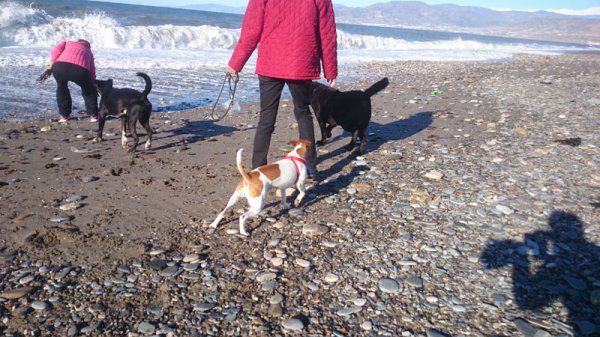 20150201 2 Stenplock.jpg