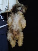 DSCN2300.JPG DSCN2300.JPG