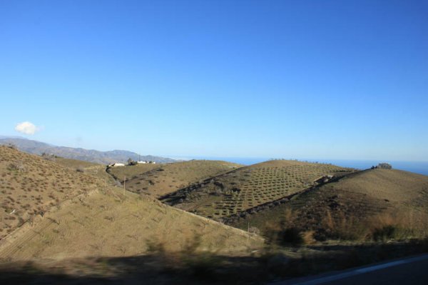 20150205 14 Odlingar.jpg