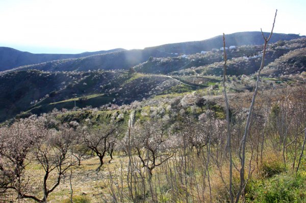 20150205 16 Mandeldalen.jpg