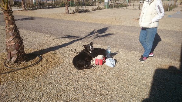 2015-02-05 10.44.34.jpg